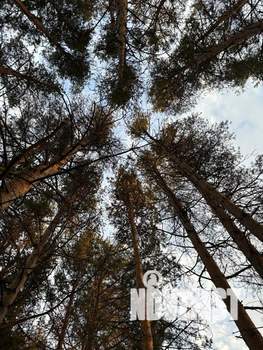 Дом 80м², 1-этажный, посуточно,