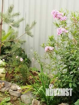 Дом 56м², 2-этажный, участок 3 сот.