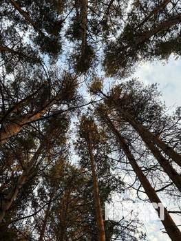 Дом 85м², 1-этажный, посуточно, 