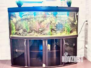 Дом 80м², 2-этажный, посуточно, 