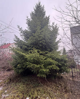 Дом 259м&sup2;, 2-этажный, участок 8 сот.  