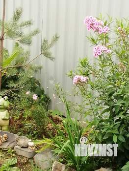 Дом 56м&sup2;, 2-этажный, участок 3 сот.  