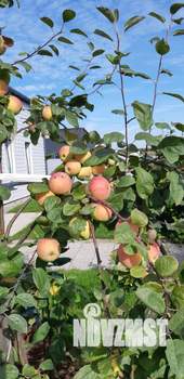 Коттедж 120м², 1-этажный, участок 8 сот.  