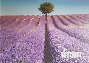 1-к квартира, посуточно, 48м2, 5/21 этаж