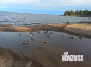 2-к квартира, посуточно, 39м2, 7/16 этаж