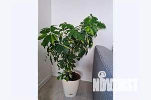 2-к квартира, посуточно, 58м2, 7/11 этаж