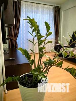 1-к квартира, посуточно, 30м2, 3/5 этаж