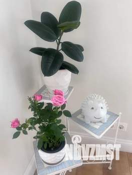 1-к квартира, посуточно, 58м2, 4/4 этаж