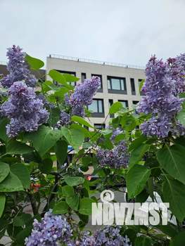 Студия квартира, посуточно, 45м2, 2/4 этаж