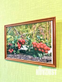 2-к квартира, посуточно, 46м2, 1/1 этаж