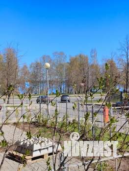 1-к квартира, посуточно, 46м2, 1/5 этаж