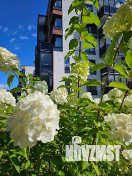 3-к квартира, посуточно, 59м2, 1/5 этаж