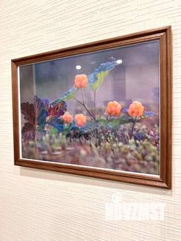 2-к квартира, посуточно, 46м2, 1/1 этаж