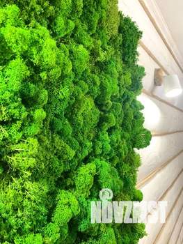 1-к квартира, посуточно, 40м2, 2/3 этаж