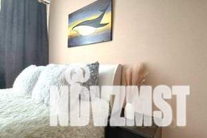1-к квартира, посуточно, 33м2, 1/5 этаж
