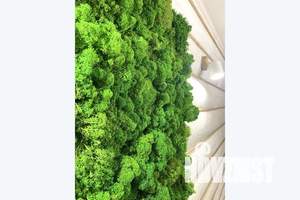 2-к квартира, посуточно, 36м2, 2/3 этаж