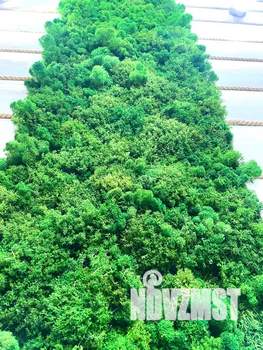 1-к квартира, посуточно, 40м2, 2/3 этаж