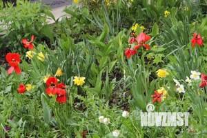 1-к квартира, посуточно, 60м2, 1/1 этаж