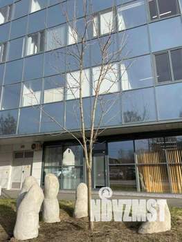 1-к квартира, посуточно, 24м2, 1/1 этаж