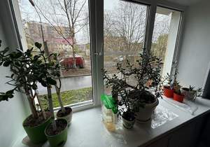 3-к квартира, вторичка, 59м2, 1/5 этаж