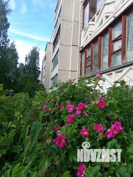 1-к квартира, вторичка, 35м2, 1/5 этаж
