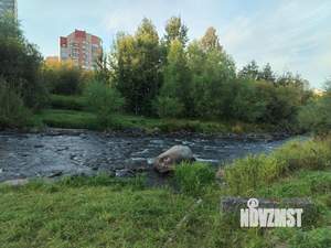 1-к квартира, вторичка, 32м2, 3/5 этаж