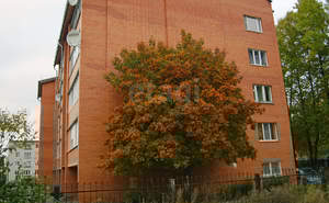 3-к квартира, вторичка, 95м2, 4/5 этаж