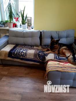 3-к квартира, вторичка, 67м2, 3/3 этаж